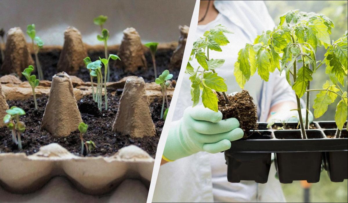 Фото новини