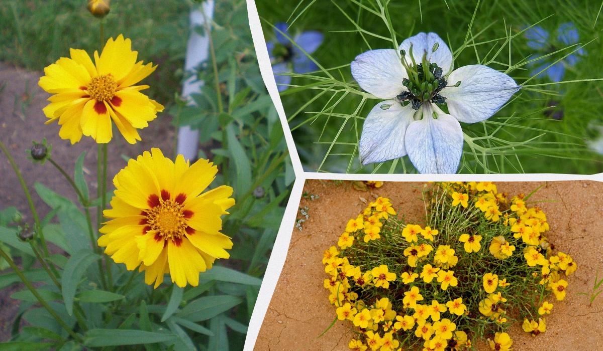 Фото новини