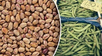 Фото новини