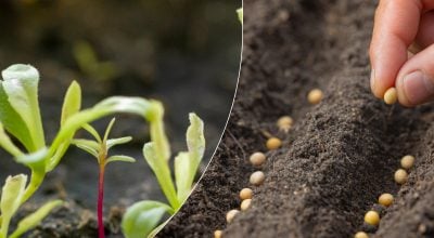 Фото новини