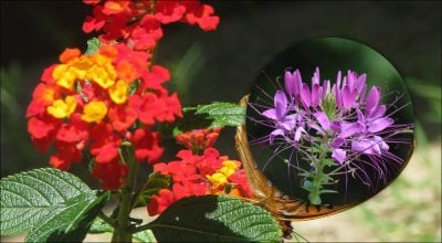 Фото новини