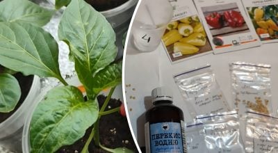 Фото новини