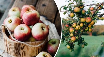 Фото новини