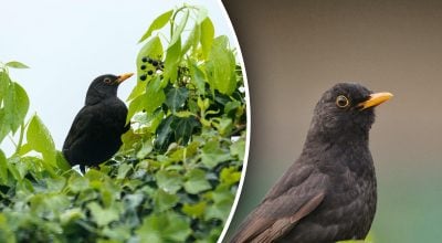 Фото новини