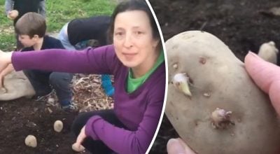 Фото новини