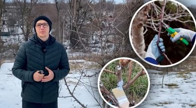 Фото новини