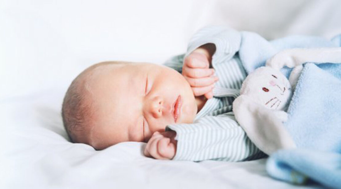 Фото новини