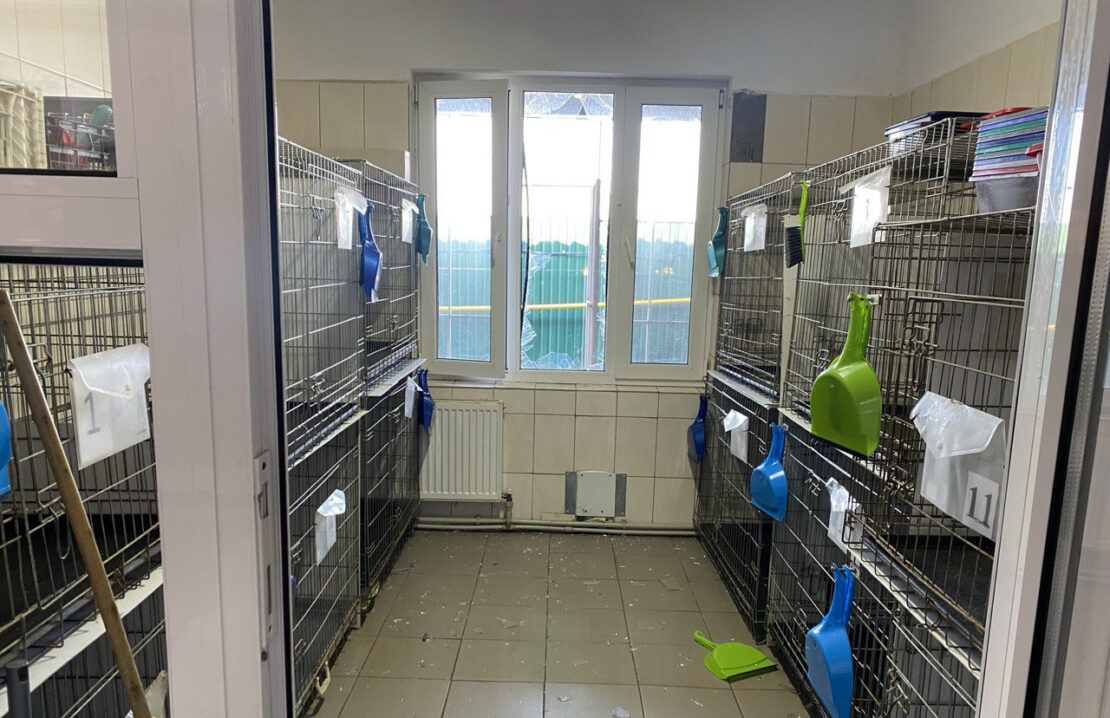 Фото новини