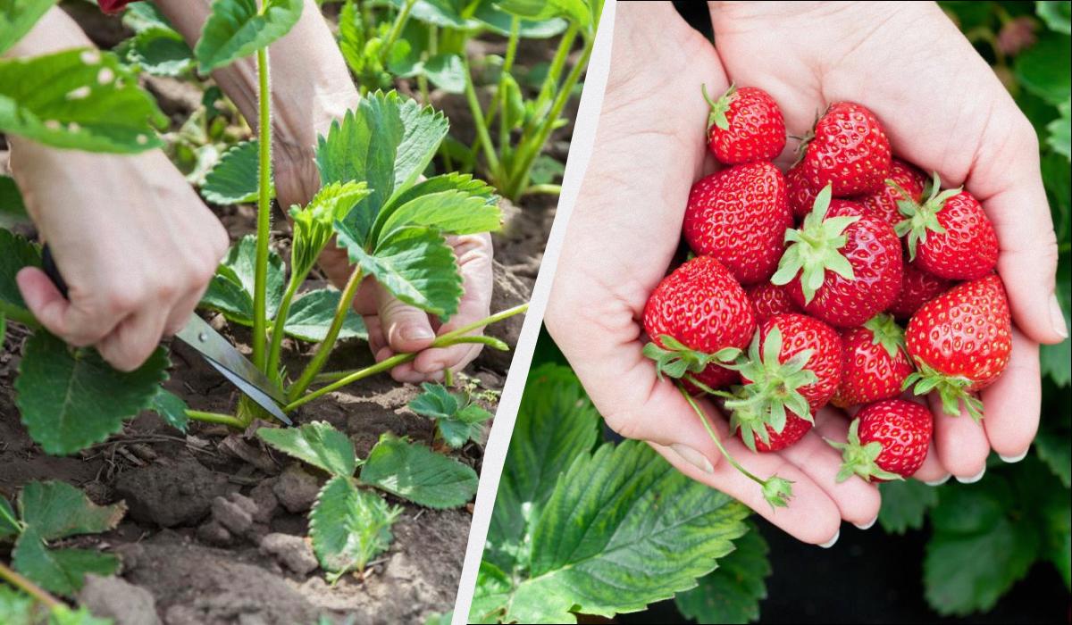 Фото новини