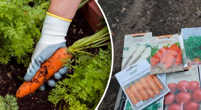 Фото новини