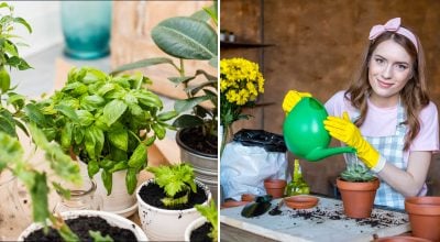 Фото новини