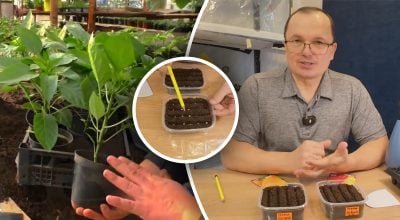 Фото новини