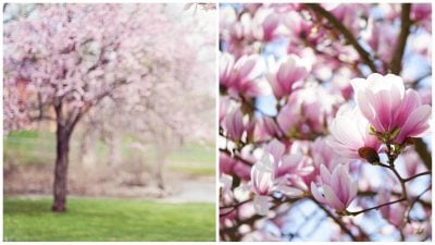 Фото новини