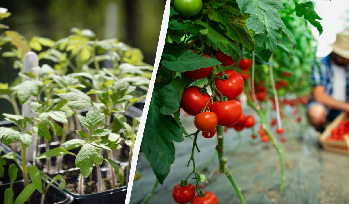 Фото новини