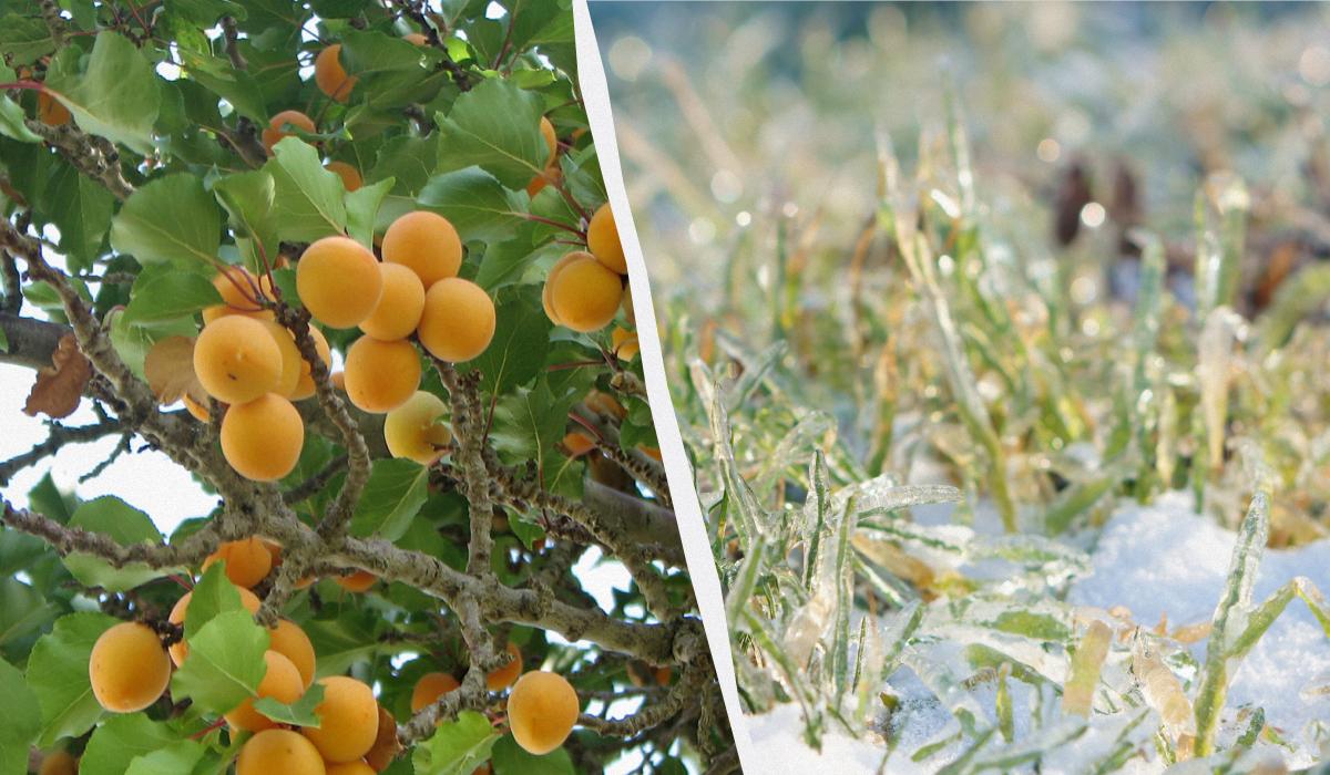 Фото новини