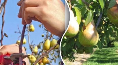 Фото новини