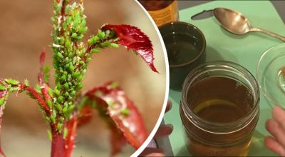 Фото новини