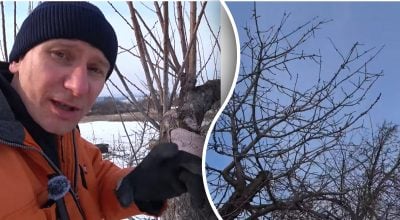 Фото новини