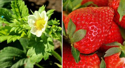 Фото новини