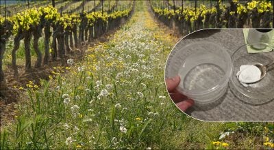 Фото новини