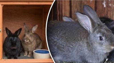 Фото новини