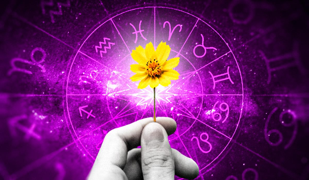 Фото новини