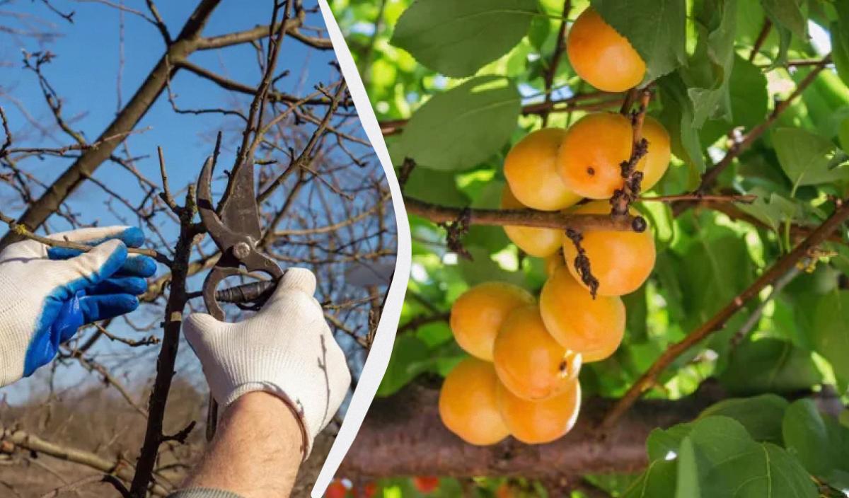 Фото новини