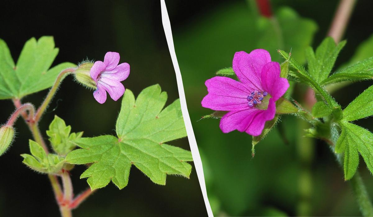 Фото новини