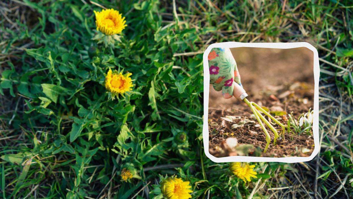 Фото новини