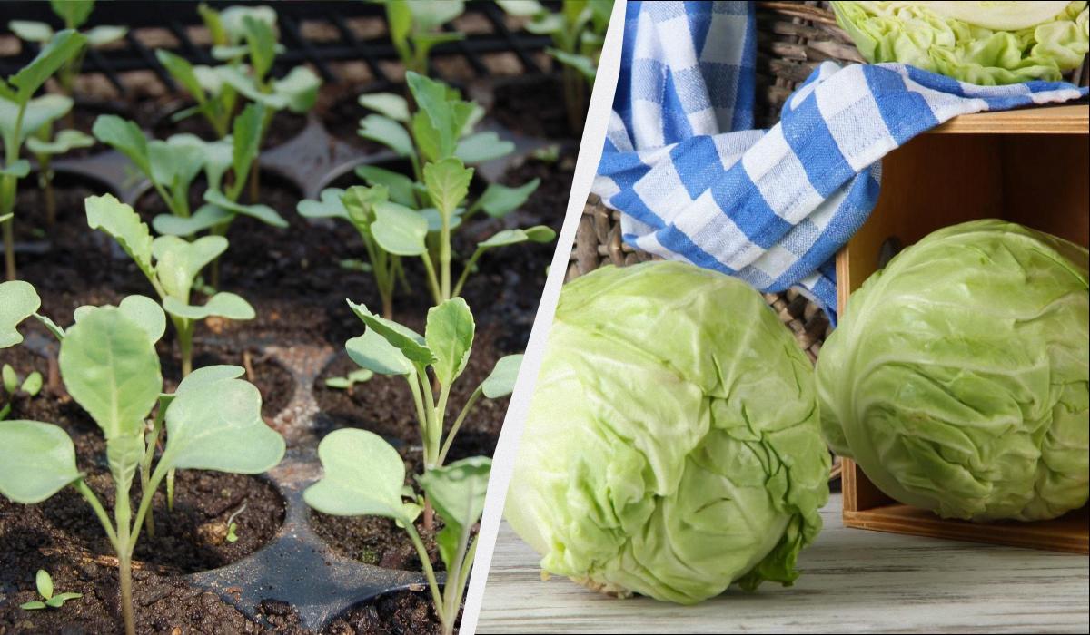 Фото новини