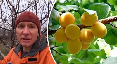 Фото новини