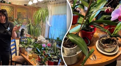 Фото новини