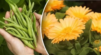 Фото новини