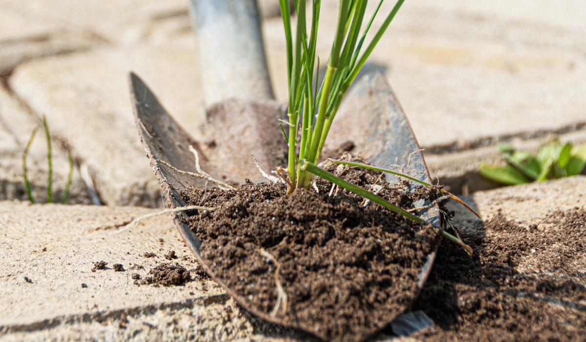 Фото новини