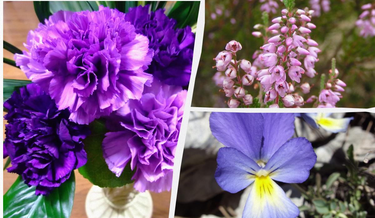 Фото новини