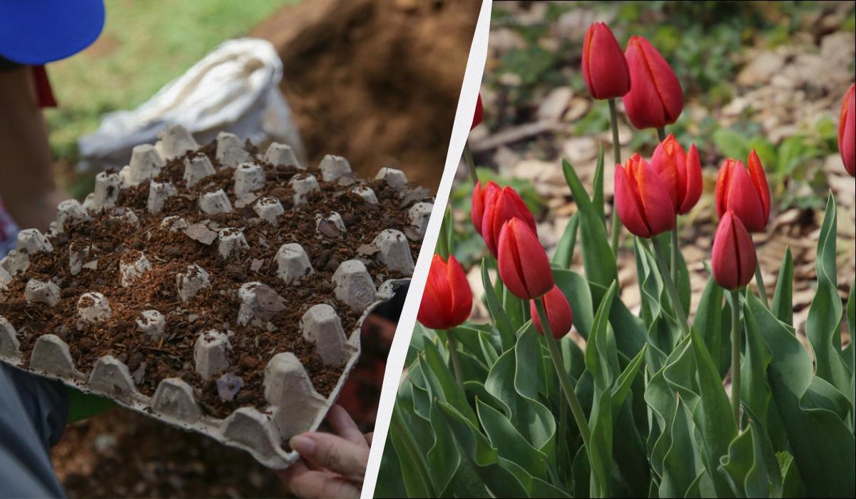 Фото новини