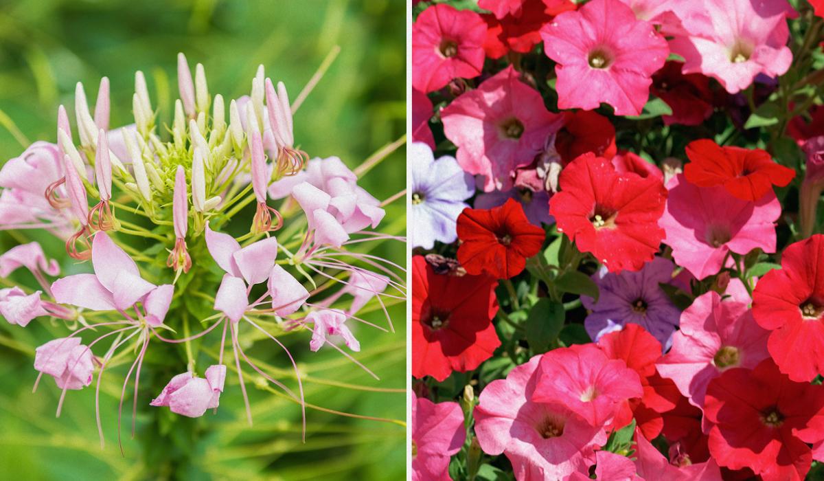 Фото новини