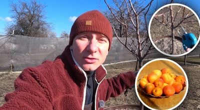 Фото новини