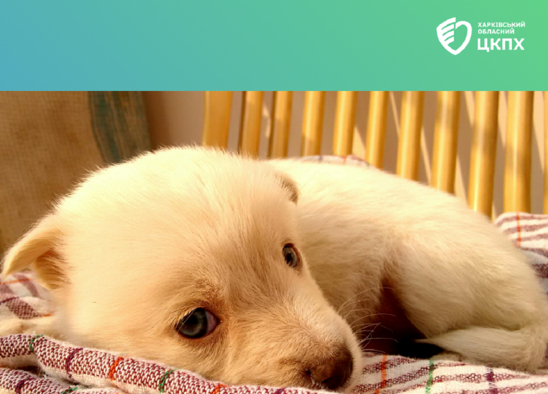 Фото новини