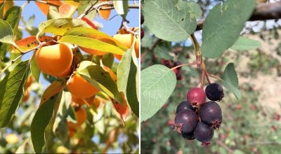 Фото новини