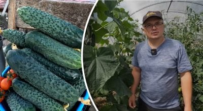 Фото новини