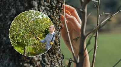 Фото новини