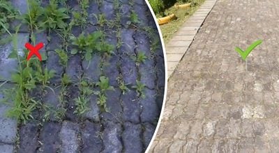 Фото новини