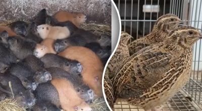 Фото новини