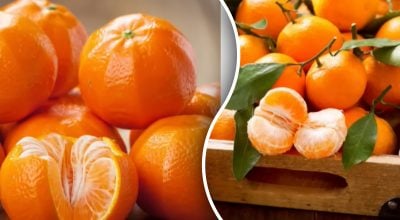 Фото новини