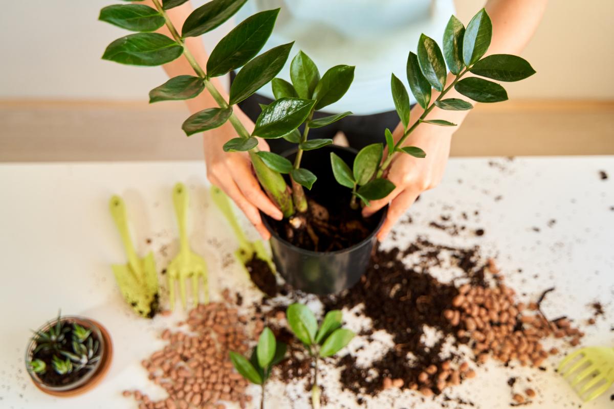 Фото новини