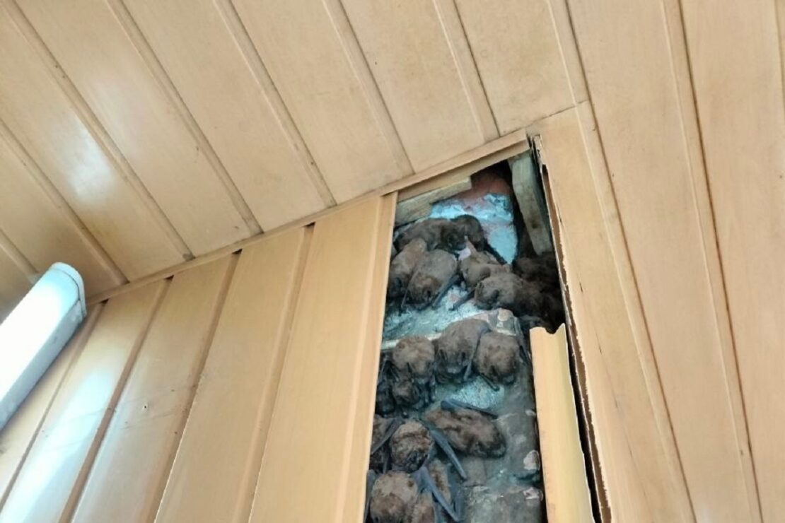 Фото новини