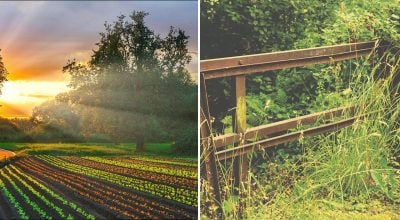 Фото новини