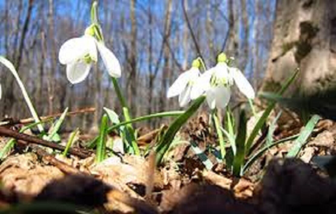 Фото новини