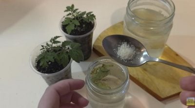 Фото новини